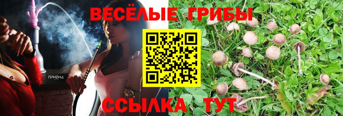 Псилоцибиновые грибы мицелий Южно-Сахалинск